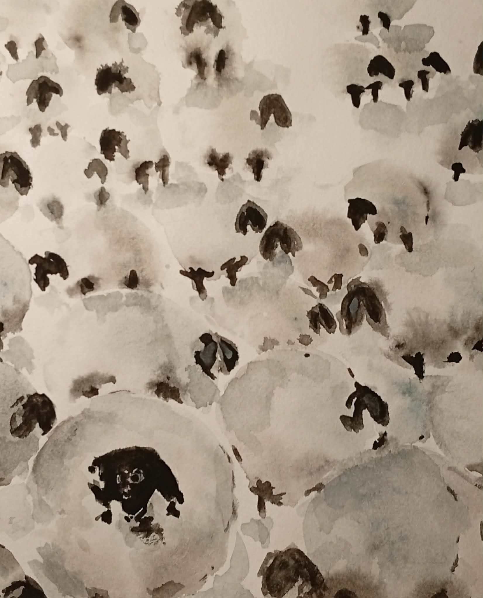 Art Card - The Sheep