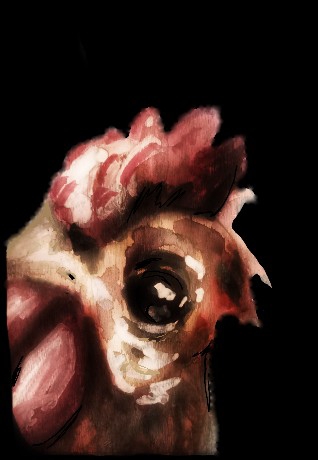 Children's Art Card - The Rooster